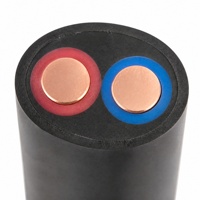 Câble flexible RVV en cuivre pur, 2 conducteurs, 1 mm², 1,5 mm², fil isolé gainé pour système de contrôle d'éclairage, longueur personnalisée, OEM ODM