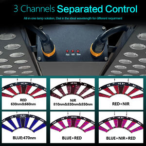 Peralatan Kuda Solarium Terapi Cahaya Merah 700W 470nm 660nm 850nm dengan Remote Control Terbaru - Product Image 4