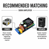 Module d'amplificateur de puissance numérique professionnel 500W IRS2092S Classe D Mono HIFI avec 90% d'efficacité