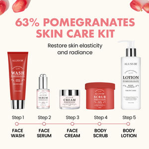 Conjunto DE CUIDADO DE LA PIEL iluminadora de granadas, productos de etiqueta privada, suero de tóner facial antienvejecimiento, crema Facial, loción corporal, conjunto de cuidado de la piel - Product Image 3