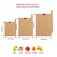 Sac en papier kraft pour fruits, écologique, imperméable, pour la protection des mangues et des raisins, pour la maison, le jardin, les petits vergers, prêt à être expédié