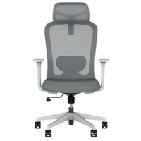 Chaise de bureau ergonomique en maille avec accoudoirs réglables - Design moderne pour le bureau à domicile