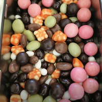 Venta al por Mayor de Granos de Chocolate Rellenos de Manteca de Cacao Pura, Chocolate con Nueces, Chocolate con Avellanas, Snacks Exóticos