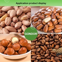 Machine à torréfier industrielle multifonctionnelle pour noix, cacahuètes, châtaignes, cacao