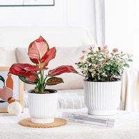 Pot de fleurs auto-arrosant coloré et respirant, jardinière en plastique au design unique à rayures verticales, parfait pour les roses de bureau, petit modèle