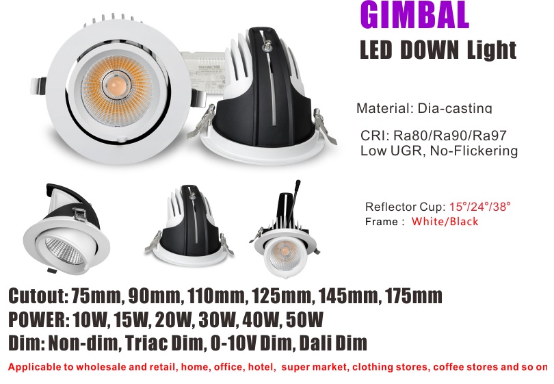 Gimbal down light.jpg