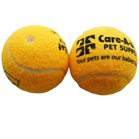 Precio bajo de calidad superior formación perro pelota de tenis juguetes con sonido