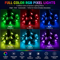 Lumière LED RGB programmable étanche IP67, éclairage extérieur adressable, chaîne de LED WS2811 SPI pour la décoration architecturale