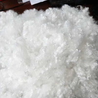 Qualité supérieure Prix raisonnable pour le remplissage d'oreillers Fabricants et fournisseurs de fibres discontinues de polyester HCS Fibre de polyester