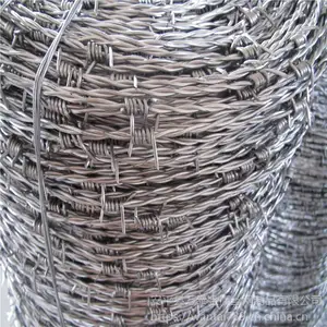China Supplier Prime Quality Barbed Wire Fence High Tensile Double Dipped Galvanized Carbon Barbed Wire in Large Stock