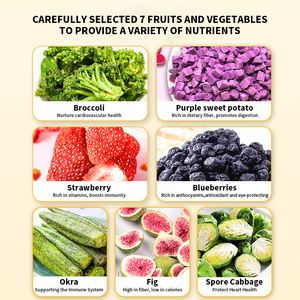 N4P Formula sayuran dan buah campuran makanan kucing dan anjing beku kering 100% bahan alami makanan ringan hewan peliharaan - Product Image 2