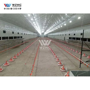 Bâtiment industriel en acier pour élevage de volailles et hangar pour l'élevage de poulets - Product Image 2