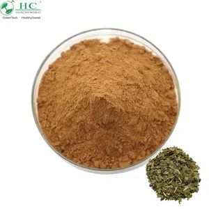 Factory Supply High Quality Organic Yerba Mate Extract Yerba Mate Extract