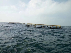 ¿Preocurdo por la deriva de la jaula en aguas agitadas? Jaula para Peces de HDPE con Anclaje Estable para Usted! - Product Image 3