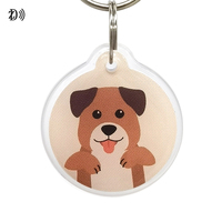 Anti-perte NFC Tag pour animaux de compagnie 13,56 MHz NTAG 213 Code QR unique RFID Porte-clés intelligent pour animaux de compagnie pour le suivi