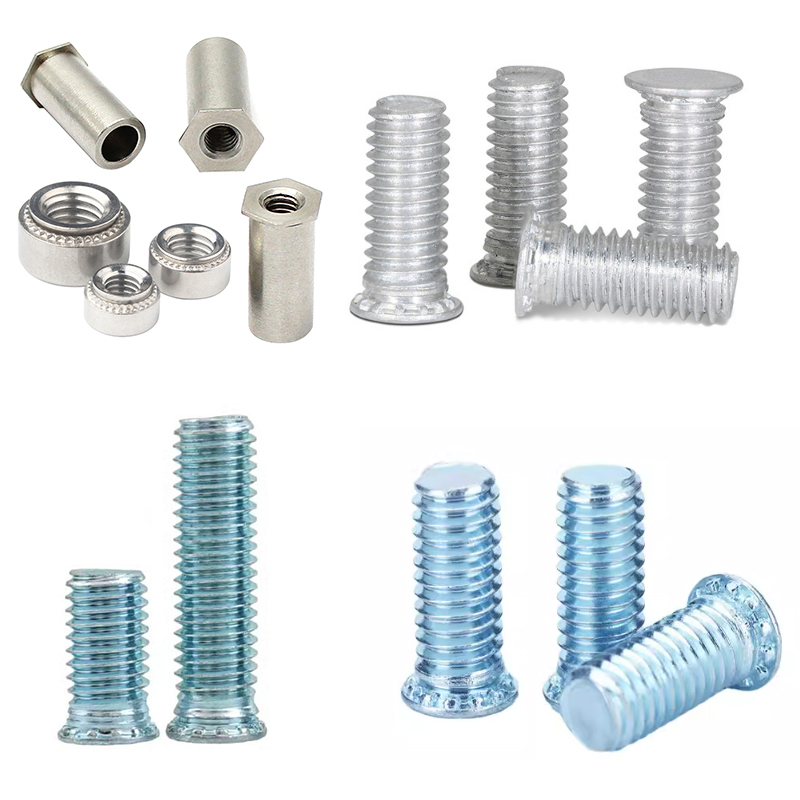 Wholesale Fastener M3 M4 M5 M6