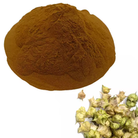 Fabricant de capsules naturelles pures et biologiques Tribulus Terrestris Pastillas Suppléments Poudre d'extrait de Tribulus Terrestris