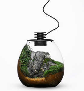 Wabi kusa plante terrarium récipients <span class=keywords><strong>en</strong></span> <span class=keywords><strong>verre</strong></span> bocal <span class=keywords><strong>en</strong></span> <span class=keywords><strong>verre</strong></span> pour bonsaï décoration de bureau - Product Image 1