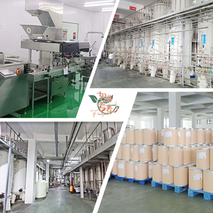 Qingchun новый урожай высокого качества премиум качества оригинальный Пальчиковый Порошок Куркумы - Product Image 3