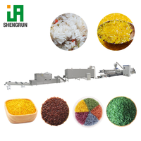 Ligne de production entièrement automatique à haute efficacité pour la fabrication de granulés de riz fortifiés et reconstitués en acier inoxydable