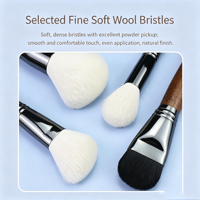 L'usine produit des ensembles de brosses à cheveux en laine de luxe professionnels OEM/ODM avec des poignées en bois, brosses de haute qualité, 16 pièces avec sac