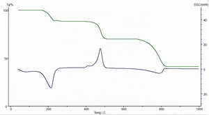 Analizador Térmico Simultáneo DSC-TGA-DTA STA-300 STA-200 - Product Image 5
