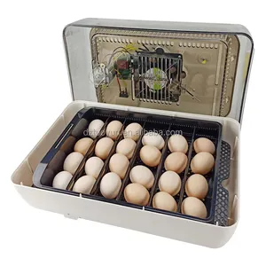 TUOYUN fábrica al por mayor automática nuevas incubadoras S huevos 24 huevos Mini incubadora