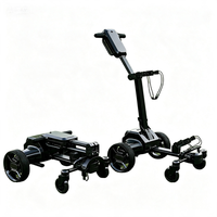 Caractéristiques uniques 5 modes Capacité de montée élevée Système d'équilibrage automatique intelligent Fonction Suivez-moi Chariot de golf électrique à 4 roues 35 kg