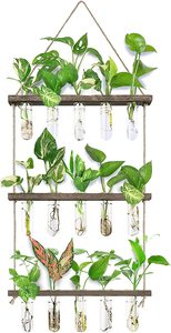 <span class=keywords><strong>Jardin</strong></span> Bureau Décoration AirPlants Cultiver terrarium mural suspendu pour plantes - Product Image 2