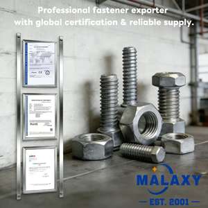 MALAXY - Anclajes de inserción específicos para elevadores, tornillos de pared tipo Tiger de alta resistencia, pernos metálicos galvanizados extraíbles y engrosados M6-M20 - Product Image 6