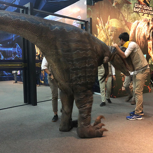 2024 thực tế dành cho người lớn Robot khủng long phù hợp với đi bộ với animatronic hoạt động Raptor khủng long trang phục để bán - Product Image 2