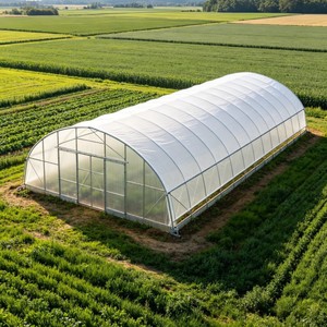 500M2 Single-Span Film Plastic Frame Strawberry Plastic Film High Tunnel Greenhouses <strong>Agriculture</strong> - Product Image 2