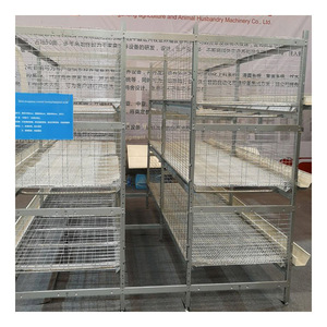 Fabrika özel güvercinler yetiştiriciliği aksesuarları satış için 3 katmanlar eğitim kutusu yarış güvercin kafesleri - Product Image 4