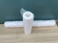 Filtre à eau pour sédiments, cartouches filtrantes à eau de 10 pouces, PP soufflé à chaud