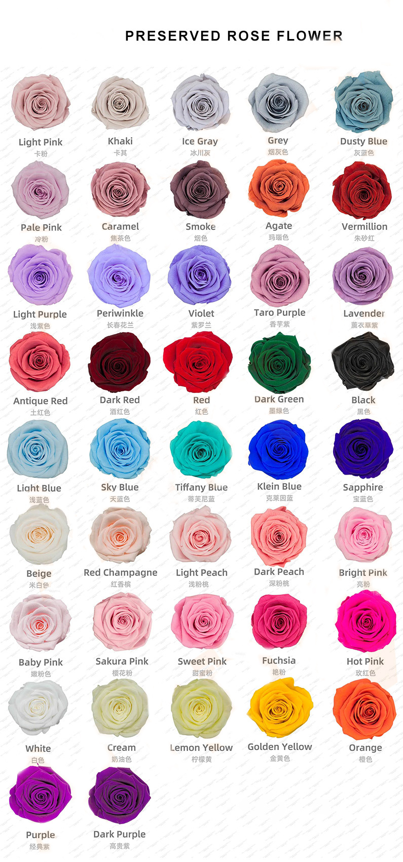 Rosa Preservada de Grado A