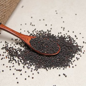 Graines de <span class=keywords><strong>moutarde</strong></span> <span class=keywords><strong>noire</strong></span> et blanches à prix d'usine - Product Image 5