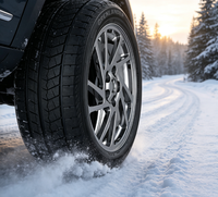 Neumáticos de Nieve Confiables para Condiciones Invernales, Tamaños para Autos y SUV 275/30R20 285/45R20 305/40R20