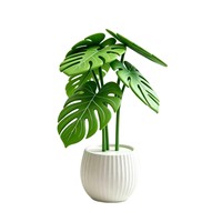 Nouvel Arrivage Transfrontalier : Plante Monstera, Sous-verre Monstera, Plante Artificielle en Pot, Imprimée en 3D, Faite à la Main, Amovible, Pour Intérieur
