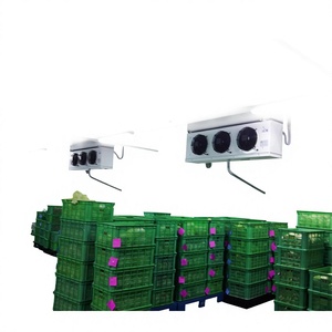 Systèmes de réfrigération Cryo pour la conservation des poissons Hilsa et du saumon atlantique, chambre froide pour fruits de mer, stockage frigorifique, pompe télécommandée à économie d'énergie - Product Image 1