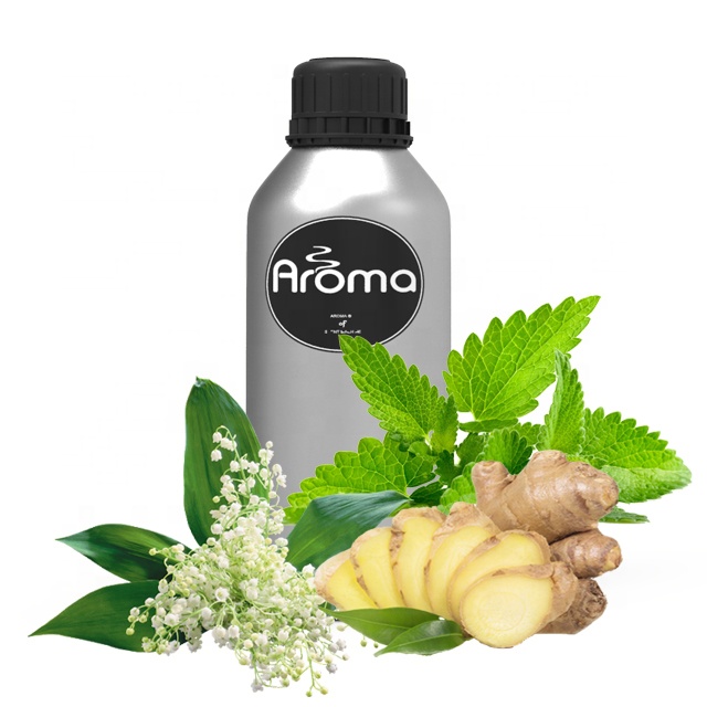 Ароматический диффузор AR1024 для гостиниц, эфирное масло