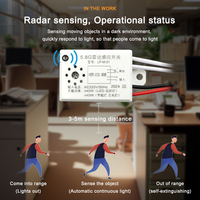 Installation facile AC220V 5.8G Module de lumière LED marche-arrêt automatique à 360 degrés Radar à micro-ondes Commutateur de capteur de mouvement et de position