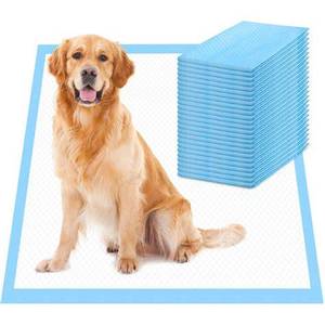 Tapis absorbants pour chien extra grands jetables pour l'apprentissage de la propreté des chiots - Product Image 1