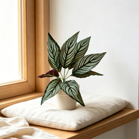 Buisson de feuilles de Calathea rayées artificielles, fausse verdure pour arrangements floraux de mariage, toile de fond murale florale, plantes artificielles en gros