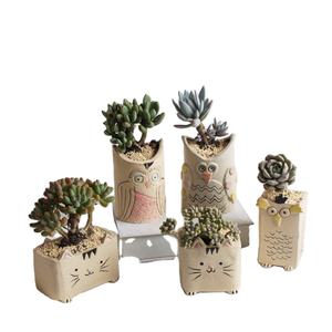 Vaso per <span class=keywords><strong>Piante</strong></span> Succulente in Ceramica Grezza a Forma di Animale Carino - Product Image 1