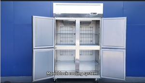 <span class=keywords><strong>Congelador</strong></span> <span class=keywords><strong>vertical</strong></span> comercial Nevera Equipo de refrigeración de cocina profesional Restaurante Almacenamiento en frío <span class=keywords><strong>Congelador</strong></span> <span class=keywords><strong>vertical</strong></span> - Product Image 5