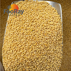 Semi di Coriandolo Naturali FooRay, Materie Prime Intere, Vendita all'Ingrosso, Standard di Esportazione per Approvvigionamento B2B Globale - Product Image 3