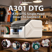 Imprimante DTG compacte X-Roland A4, impression directe sur vêtement, I3200 DX7, tête simple, machine d'impression jet d'encre DTG pour vêtements