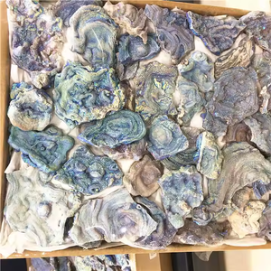 Großhandel poliert Engel Aura Chalcedon Achat Edelstein natürlichen Mineral Roh stein für Home Decoration Rough - Product Image 6