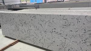 Granito Pulido Natraj Stonex Fish Grey en Losa Grande para Decoración de Paredes y Pisos de Cocina Moderna, Hogar y Hotel, India - Product Image 2