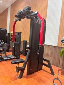 Máquina de Ejercicios para Deltoides Posteriores y Pectorales, Equipo Profesional de Entrenamiento de Fuerza <span class=keywords><strong>2</strong></span> en 1 con Doble Función - Product Image 3